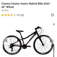 Bicycle Carrera 25 x13