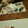 Petrified wood slices Image 7