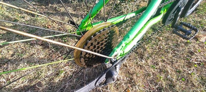 frog bike
