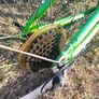 frog bike Image 4