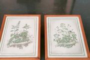 Vintage Herb Botanical pictures
