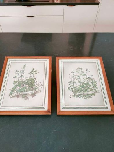Vintage Herb Botanical pictures
