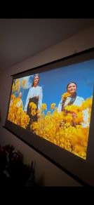 screen projector 120"