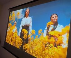 screen projector 120"