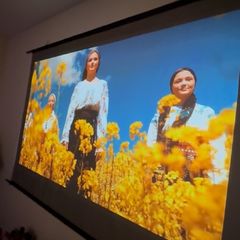 screen projector 120"