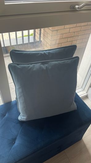 2 Velvet Cushions