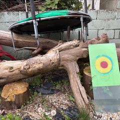 fire wood