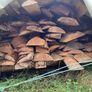 Sawmill offcuts Image 2