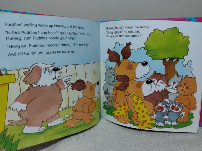 Alley Dogs Troublesome Sister Hardback story Book