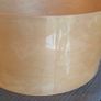 Pearl Free Floating maple shell Image 5