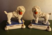 Staffordshire Style Poodles
