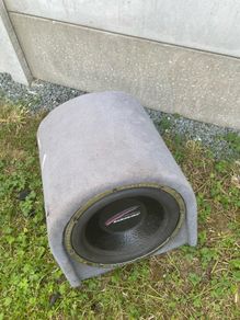 sub-woofer speaker