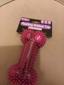 Flashing squeaker dog toy