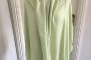 Mint Green Pashmina New