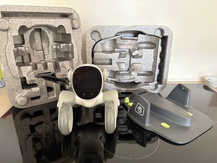 Loona robot pet dog