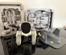Loona robot pet dog
