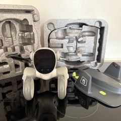 Loona robot pet dog