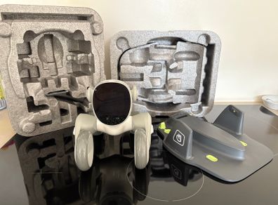 Loona robot pet dog