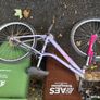 3 bikes free to take away Image 6
