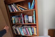Solid wood bookshelf