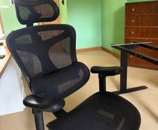 SIWOO Doro C300 Ergonomic Office Chair