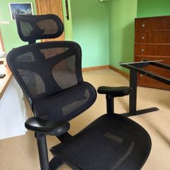 SIWOO Doro C300 Ergonomic Office Chair