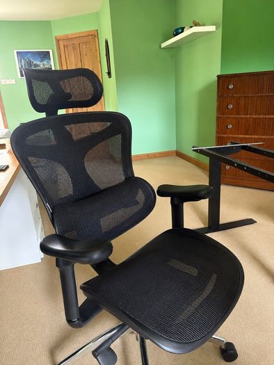 SIWOO Doro C300 Ergonomic Office Chair