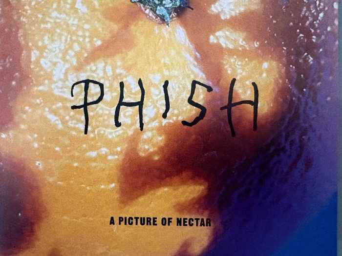 Three US albums by alternative band Phish. Includes A Picture of Nectar, double CD Junta and Crimes of the Mind. Price for all three but will sell individually. See below.