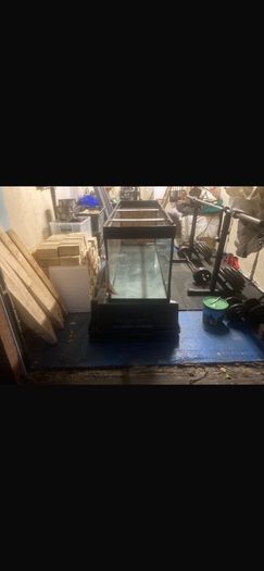 large 375L fish tank