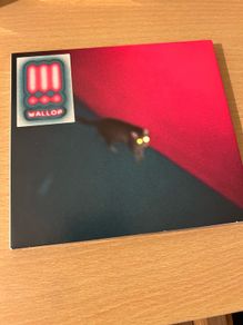 !!! - Wallop (chk-chk-chk)
