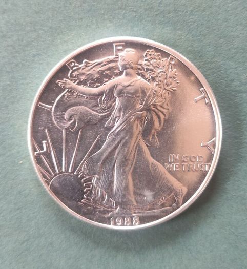10x 1oz Silver American Eagle Coin