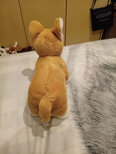 Betty the Corgi Jellycat