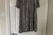 Women's Silver Sequins dress