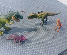 Dinosaurs