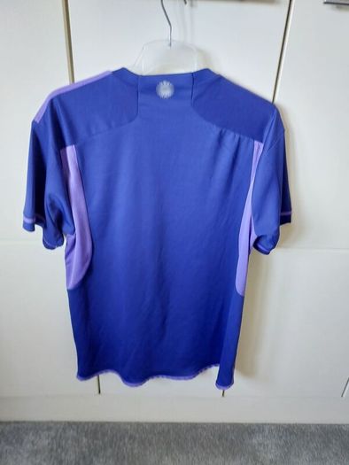 Adidas Argentina Replica 2022 world cup winning Jersey