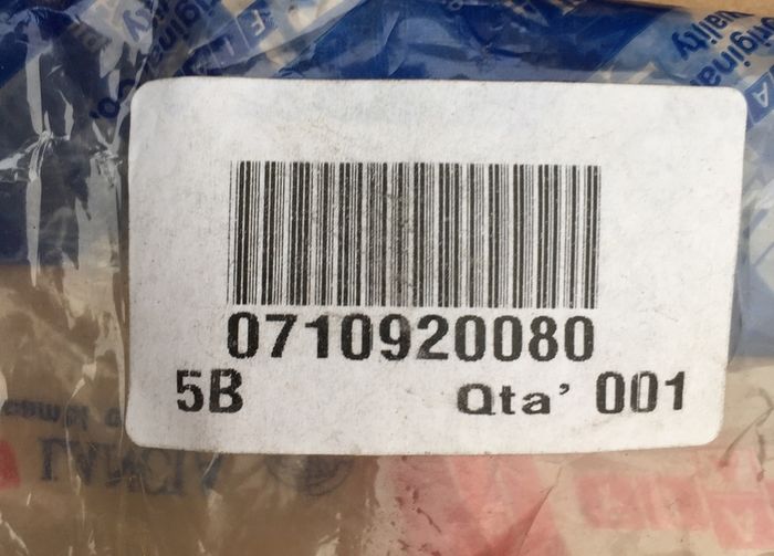 LH Door Moulding (Fiat Punto 176)