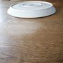 Royal Worcester Evesham Gold Serving Plate Porcelain New Image 4