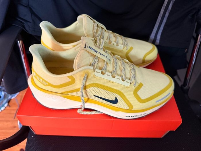 Nike Air Pegasus 41 GTX UK9