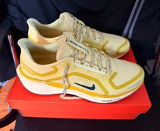 Nike Air Pegasus 41 GTX UK9
