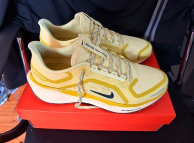 Nike Air Pegasus 41 GTX UK9