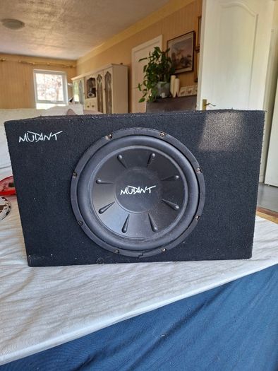 600 watt sub woofer in cabinet