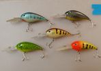 Long lip deep diving crank bait