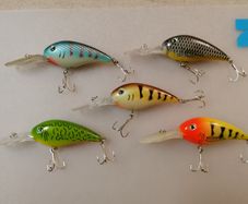 Long lip deep diving crank bait