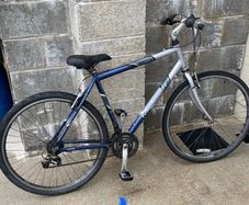 Adult bike