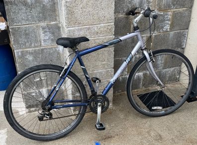 Adult bike