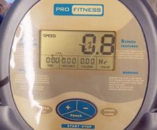 Pro Fitness Folding Treadmill