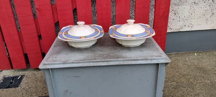 Karmony Shape Rose Pattern Vintage Dinnerware