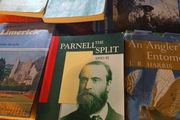 Irish interest