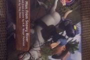 The man from snowy river