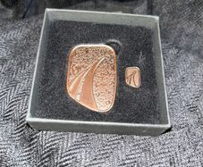 Gaisce the President's award